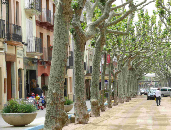 Arenys de Munt