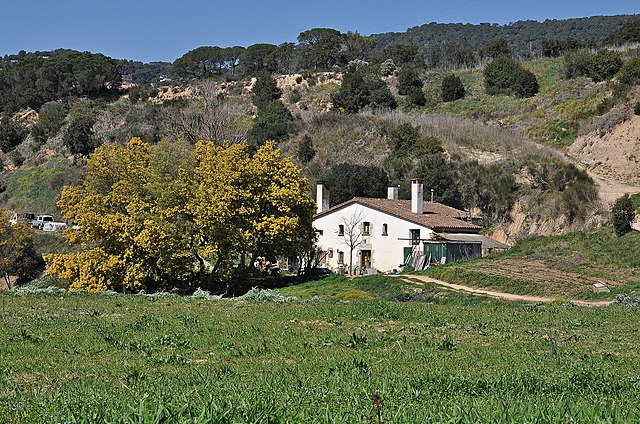 Sant Cebrià de Vallalta