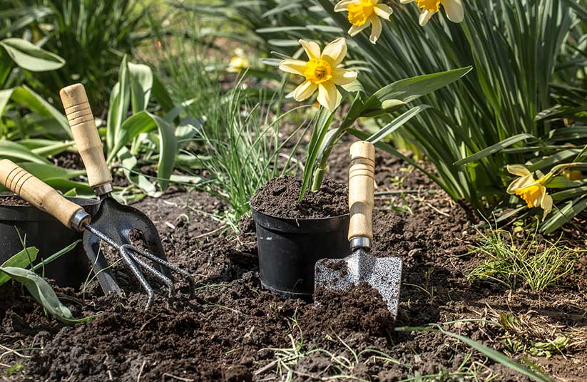 Jardinero Arenys de Mar