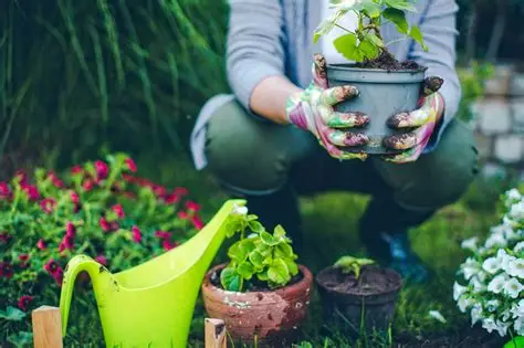 Jardineros en Sant Iscle de Vallata