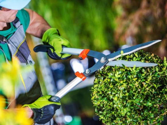 Jardineros en Mataró