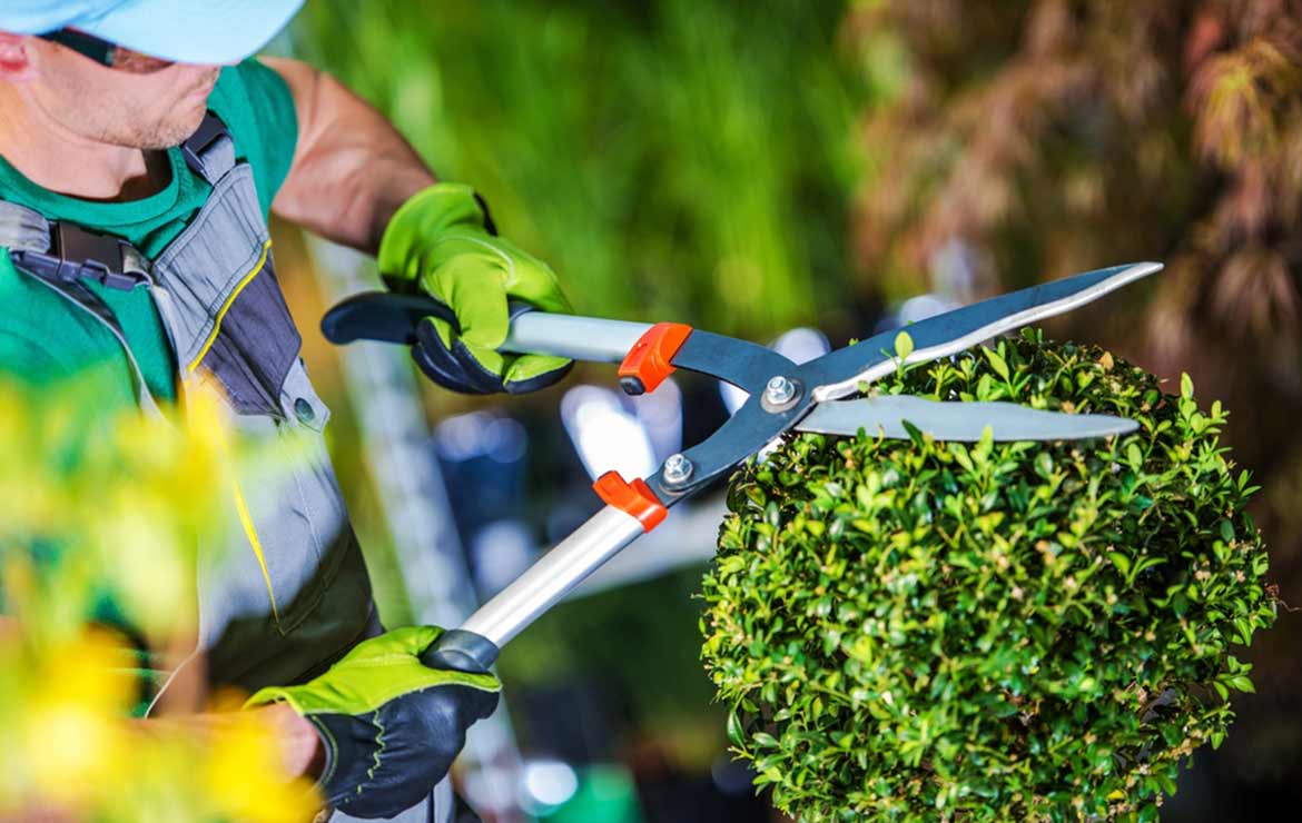 Jardineros en Mataró