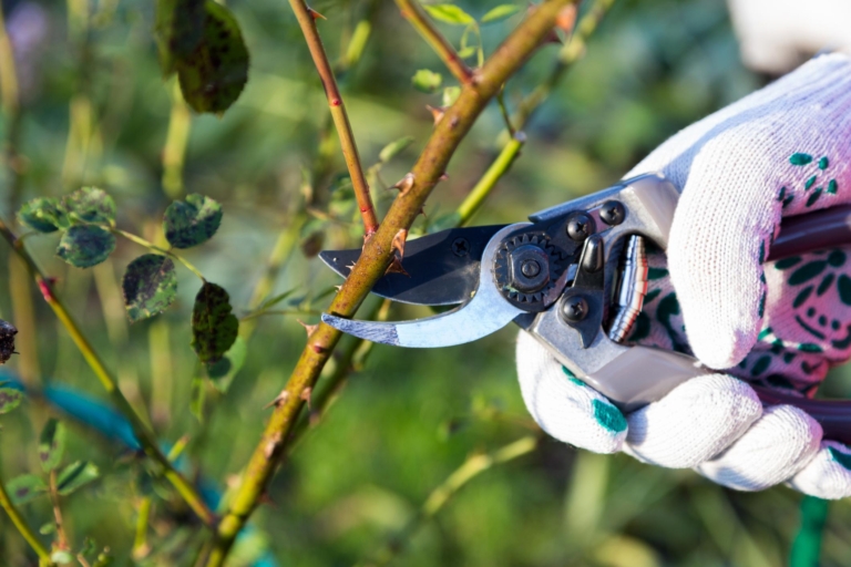 Jardineros en Vilassar de Dalt